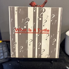 What is a Turtle [Hardcover] Gene Darby and Lucy and John Hawkinson 1959