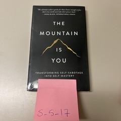 The Mountain is you by Brianna Wiest Paperback Book
