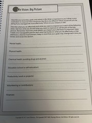 The Expanded Dialectical Behavior Therapy Skills Manual by Lane Pederson 2nd Ed