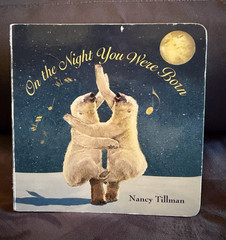 On the Night You Were Born Nancy Tillman | Illustrated Board Book Feiwel 2010