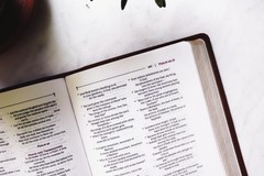NRSVue, Holy Bible, Compact, Leathersoft, Brown, Comfort Print