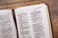 NRSVue, Holy Bible, Compact, Leathersoft, Brown, Comfort Print