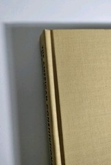 THE AMERICAN CONSTITUTIONAL TRADITION essays By D. J. Elazar – 1988 1st Edition
