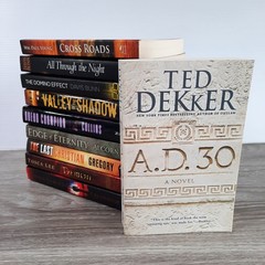 Christian Fiction Lot of 10 Trade Paperbacks Ted Dekker Wm. Paul Young Davis