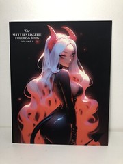 The Succubus Lingerie Coloring Book Volume 1 – Anime Manga