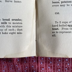 The Lindlahr Vegetarian Cook Book & ABC of Natural Dietetics (1922 15th VTG HC)