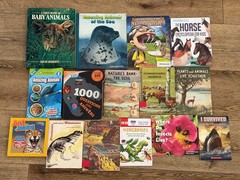Lot of 15 Children’s Animal animals Picture Books Homeschool Sharks, Reptiles…