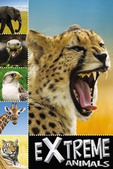 Extreme Animals (Ready To Read) – paperback Creese, Sarah