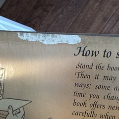 Lothar Meggendorfer The City Park Antique Stand-Up Pop-Up Book Reproduction
