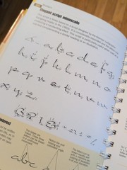 The Calligrapher’s Bible David Harris Guide How To Draw Alphabets Hardcover Art