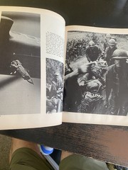 AMBASSADORS IN GREEN by Tom Bartlett USMC Vietnam CA Platoon 1971 1st Printing