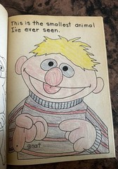 Vtg 1977 Golden Sesame Street Ernie’s Book of Animals Coloring Activity 72pgs