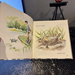 What is a Turtle [Hardcover] Gene Darby and Lucy and John Hawkinson 1959