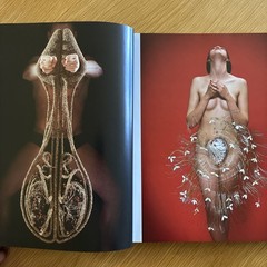 International Floral Art 2018 / 2019 by Katrien Van Moerbeke [Hardback]
