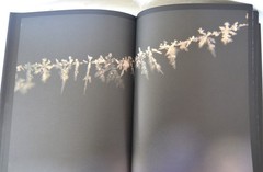 Halo – Rinko Kawauchi – Aperture Foundation – 2017 First Edition