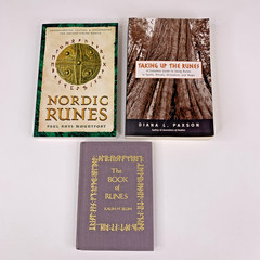 Occult Book Lot of 3: Taking Up the Runes, Book of Runes, Nordic Runes