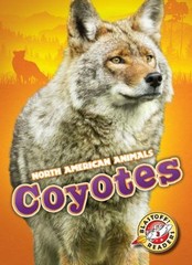 Coyotes Library Binding Chris Bowman