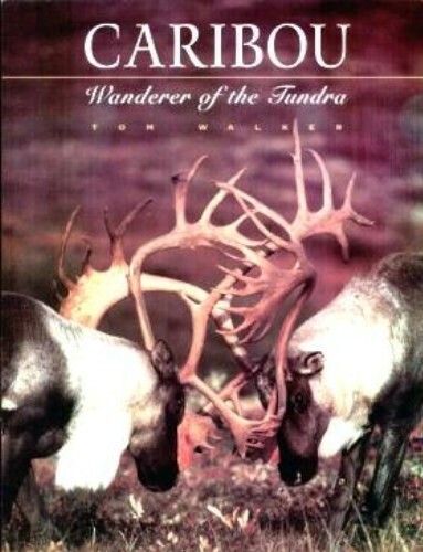 CARIBOU WANDERER OF TUNDRA TOM WALKER ANIMAL PHOTOGRAPHY ALASKA WILDLIFE BOOK AK