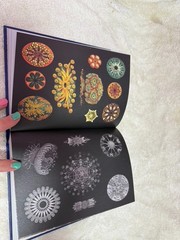 Antiquarian Sticker Book : Over 1,000 Exquisite Victorian Stickers by Odd Dot…