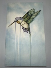 Hummingbird: Essays [Genuine Rare Bird Book] by Angelini, Jude paperback Book