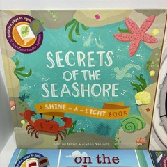 Lot of 4 Shine A Light Books Kane Miller Winter Plane Space Station Seashore