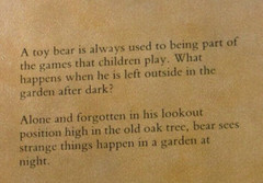 The Age of Acorns by Robert Ingpen 1988 children’s picture book Teddy Bear story