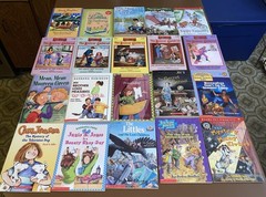 Lot of 60 Chapter Books For 1st 2nd 3rd Grade Readers Ages 6-10 Huge Variety