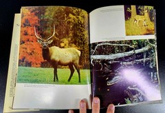 The National Forests of America 1968 HC DJ Orville Freeman Michael Frome