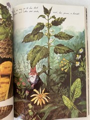 Gnomes Huygen Poortvliet 1979 1st PB printing art fairy fantasy VTG forest draw