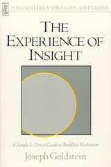 Experience of Insight (Shambhala Dragon Editions) by Joseph Goldstein