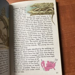 Lot Of 6 Vintage Golden Nature Guides-Small Booklets-Insets pest stars rock ETC