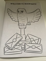 LEGO Harry Potter: Color the Wizarding World Coloring Book. 48 Pages.