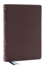 Life in Christ Bible: Discovering, Believing, and Rejoicing in Who God Says…